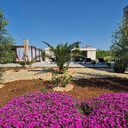 ヴィラ Jani Donja Jagodnja