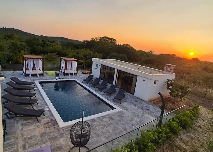 Jani فيلة Donja Jagodnja